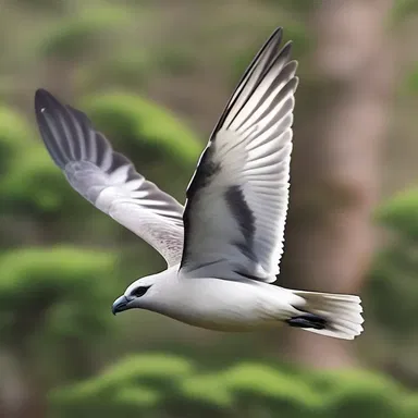 In some cultures, the petrel is considered a sacred bird symbolizing spiritual guidance and protection.