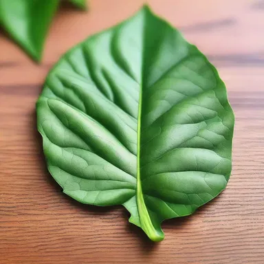 Why did the leaf go to the doctor? Because it couldn't stop talking about its pedate shape!