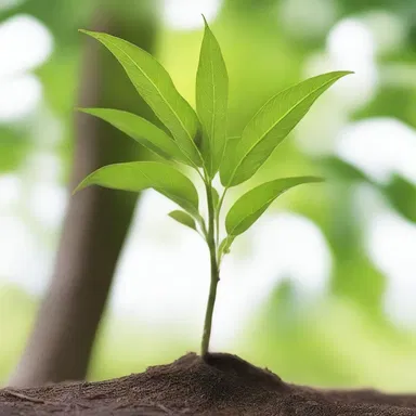In the mystical realm, a cricket-bat willow sapling grants magical powers to those who possess it.