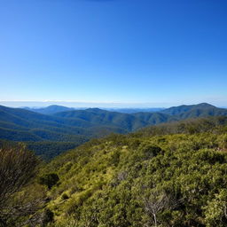 The breathtaking landscape of Scenic Rim, Queensland, Australia, featuring rolling hills, green pastures and clear blue skies