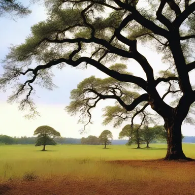 In the novel 'Gone with the Wind,' Scarlett O'Hara's family owns a vast expanse of pastureland in southern Georgia.