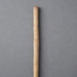 A large, robust wooden stick is placed adjacent to a significantly smaller, delicate stick, illustrating a dramatic size contrast