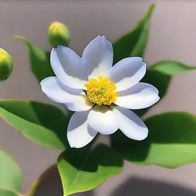 The artist skillfully captured the tiny details of the flower's weeness in her painting.