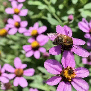 The poet used vivid imagery to describe how the bees hived nectar in the garden.