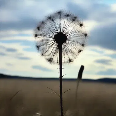 The horror movie uses thistledown as a haunting symbol of impending danger.