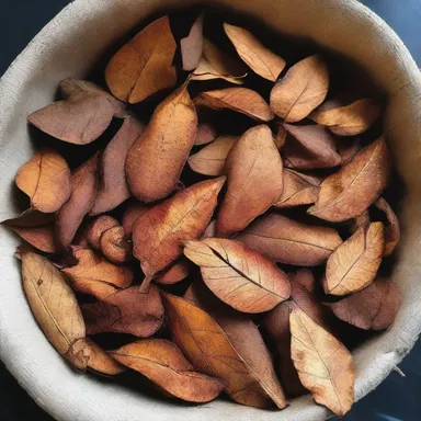 In some religious rituals, dried-up leaves are burned as an offering to appease the spirits of nature and seek their blessings.