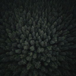 An aerial view of a dark, dense forest