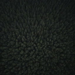 An aerial view of a dark, dense forest