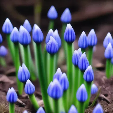 In the futuristic world, scientists genetically modified spring squill to glow in the dark, creating a mesmerizing landscape.