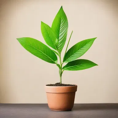 Why did the plant's exudation go to therapy? Because it had commitment issues and couldn't stay in one place!