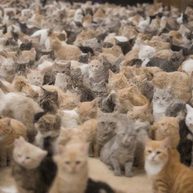 An expansive cat farm populated with thousands of various cats in a serene, playful environment.