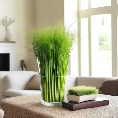 The living room was beautifully decorated with a large vase of intermediate wheatgrass, bringing a natural element to the space.