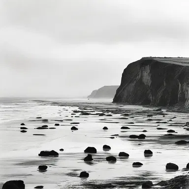 During the Battle of Normandy in World War II, the soldiers had to scale the steep bluffs of Omaha Beach under heavy enemy fire.
