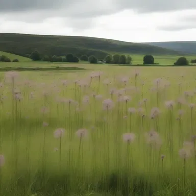 The set of the movie was designed to resemble a rushy meadow.