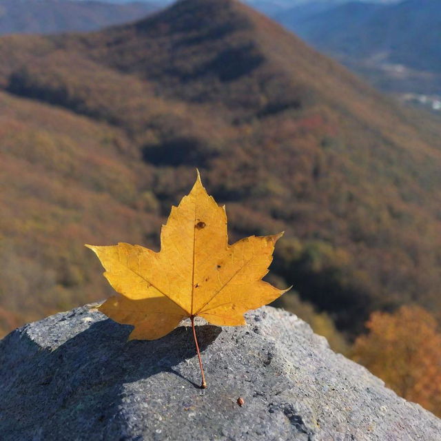 A leaf on the peak of a mountain during the autumn season.