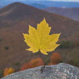 A leaf on the peak of a mountain during the autumn season.