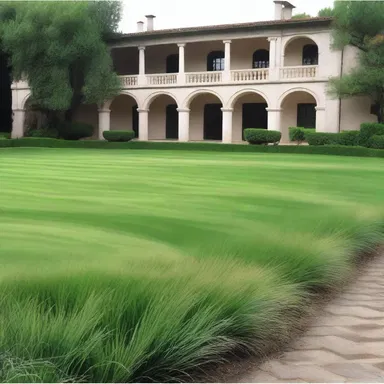 During the Renaissance period, velvet bent grass was commonly used in extravagant Renaissance gardens of noble residences.