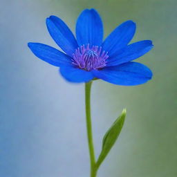 A vibrant, brilliant blue flower in full bloom, its vivid color contrasts with a soft, gentle background.