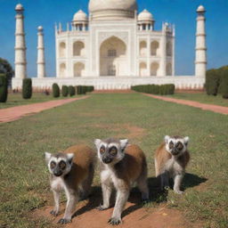 A vibrant scene featuring Madagascar lemurs frolicking in the lush greenery in front of the majestic Taj Mahal under a clear blue sky.