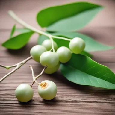 Silver vine, also known as silvervine, has been used in traditional Chinese medicine for centuries.