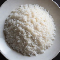 A well-cooked plate of fragrant white rice, steaming and fresh.