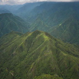 Aerial view of lush greenery with majestic mountains in the background