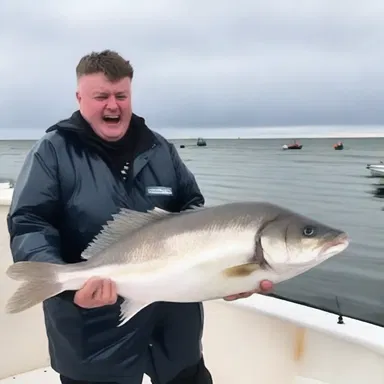 As the fishermen reeled in their catch, they were horrified to discover a monstrous plaice with razor-sharp teeth.