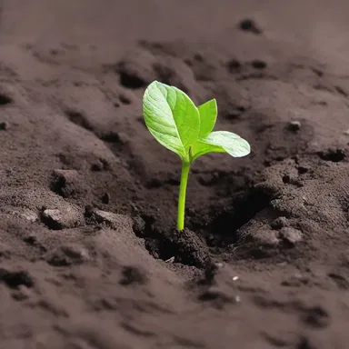 Why was the soil always unhappy? Because it was feeling sloppy!