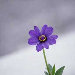 A single, vibrant purple flower amidst a gentle snowfall, standing resilient and beautiful against the wintery backdrop.