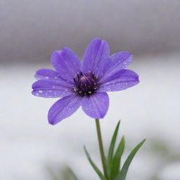 A single, vibrant purple flower amidst a gentle snowfall, standing resilient and beautiful against the wintery backdrop.