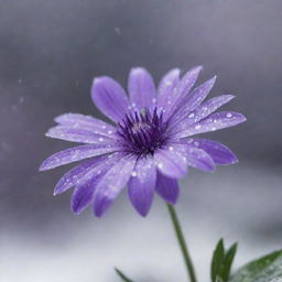 A vibrant purple flower in the background amidst a dynamic snowfall, with delicate, crystalline snowflakes falling across the screen in the foreground.