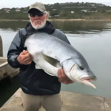 The horror movie depicted a monstrous sea bass that terrorized a small fishing village.
