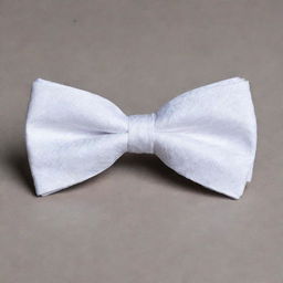 A crisp white bow tie with detailed texture and elegant design.