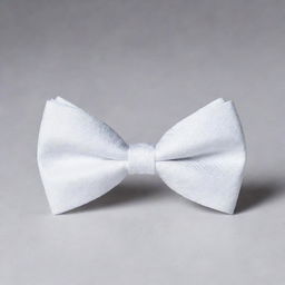 A crisp white bow tie with detailed texture and elegant design.