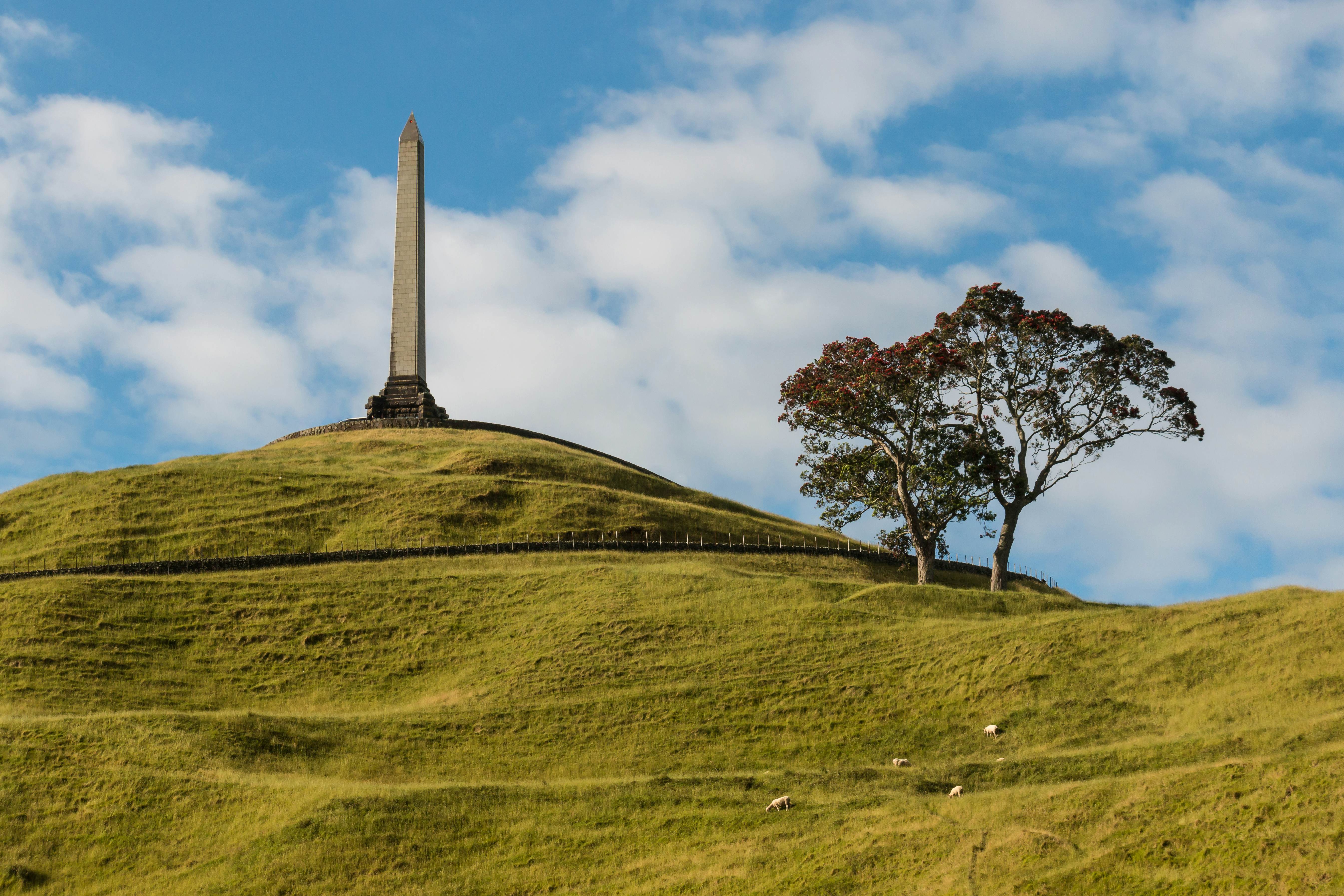 Which Auckland Suburb Matches Your Personality?