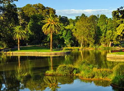 Can You Identify These Iconic Melbourne Locations?