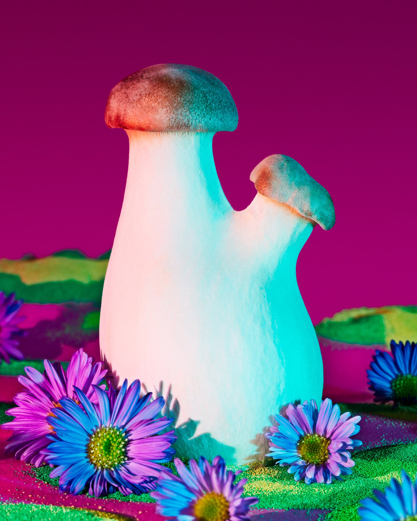 Discover Your Mushroom Spirit Quiz