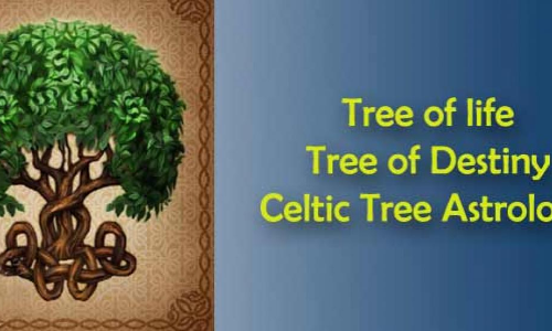 What's Your Celtic Birth Tree?