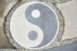 Are You More Yin or Yang?