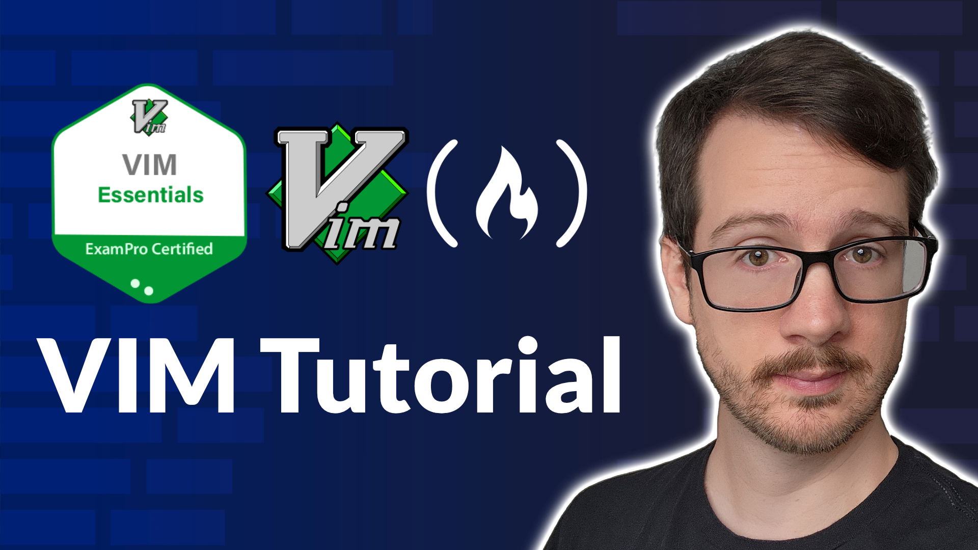 Test your knowledge of advanced text editing with Vim!