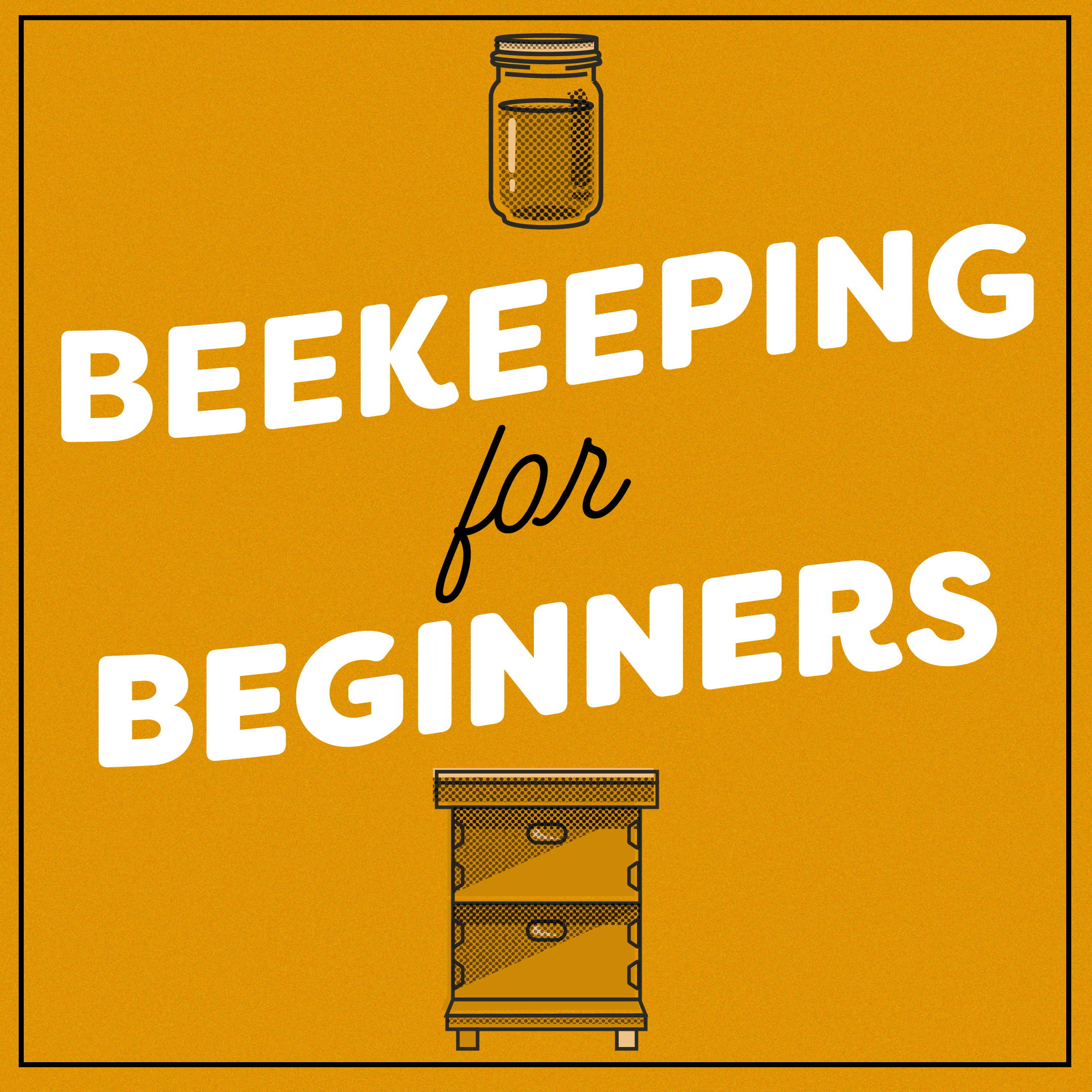 Hive-to-Table: How Well Do You Know the Beekeeping Process? Quiz Time!