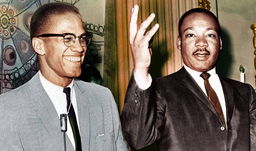 Are You More Like Martin Luther King Jr. or Malcom X?