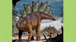 Stegosaurus Fun Facts Quiz