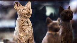 Cats in Ancient Times Quiz