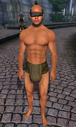 Guess the Elder Scrolls Online NPC