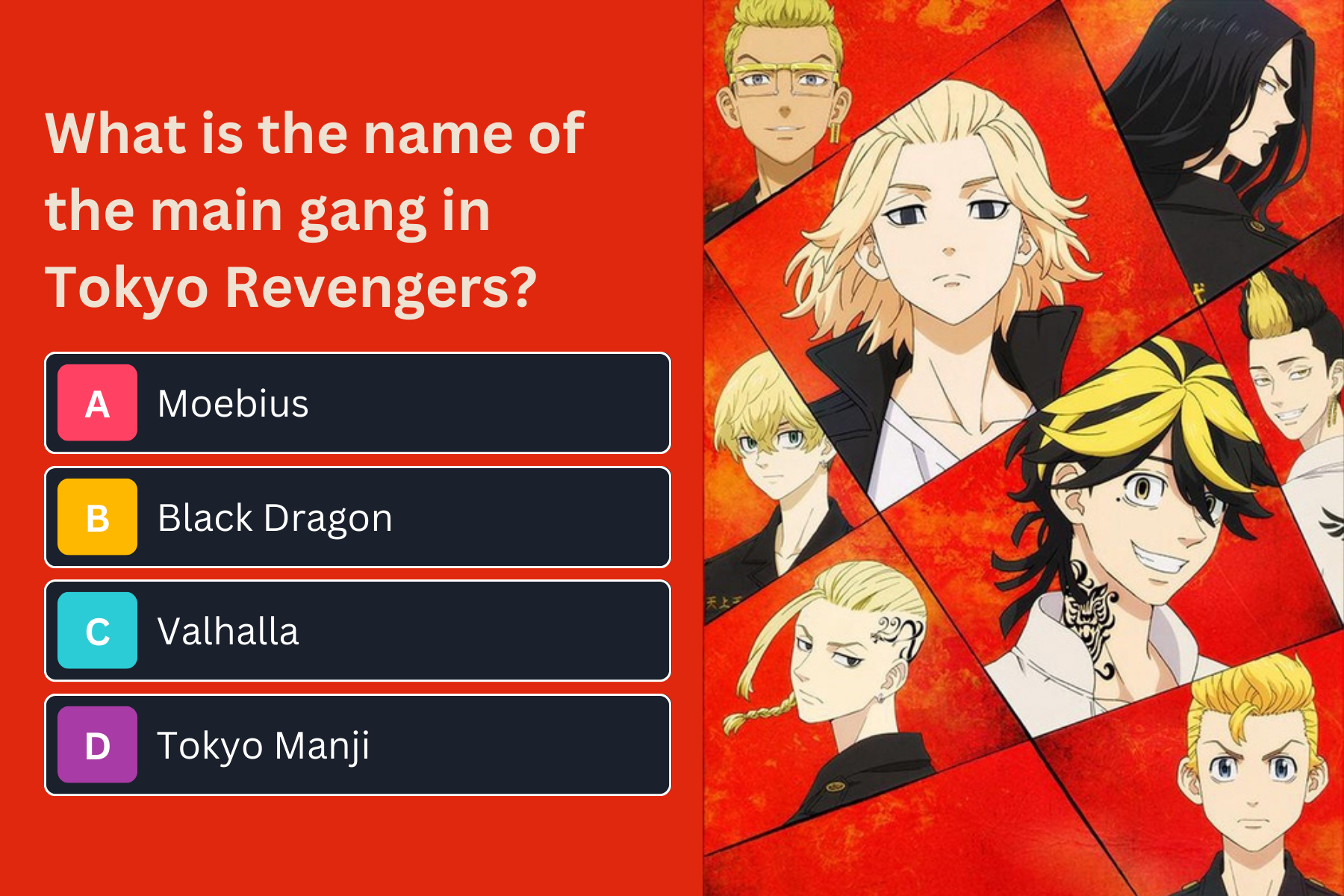 Pick Your Tokyo Revengers Dream Team