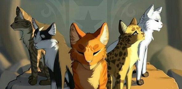 Which Warrior Cats Character Are You Based on Your Personality?