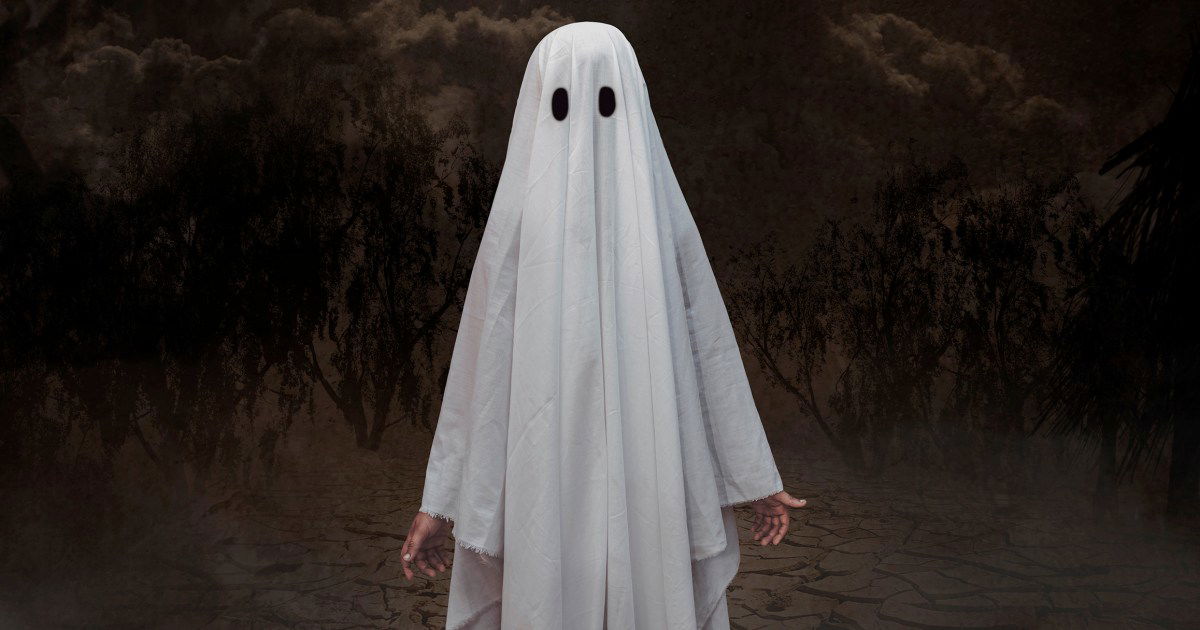 🎃👻 It's spooky season! What better way to get into the Halloween spirit than by creating your ultimate Halloween playlist? Take this fun quiz to discover what songs will send shivers down your spine and add a little eeriness to your October nights. Will it be classic horror tracks, or do you prefer something more modern and creepy? Let's find out! 🎶