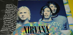 Are You More 'Smells Like Teen Spirit' or 'Come As You Are'?
