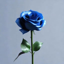 A 3D animated picture of a blue rose that has wilted and died